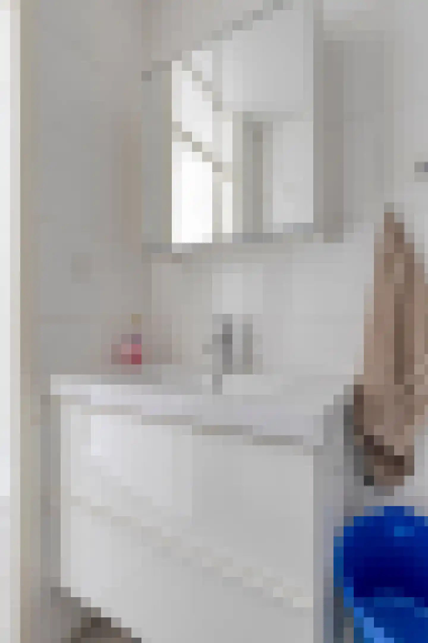 Vaillantlaan 552 Den Haag thumbnail 28