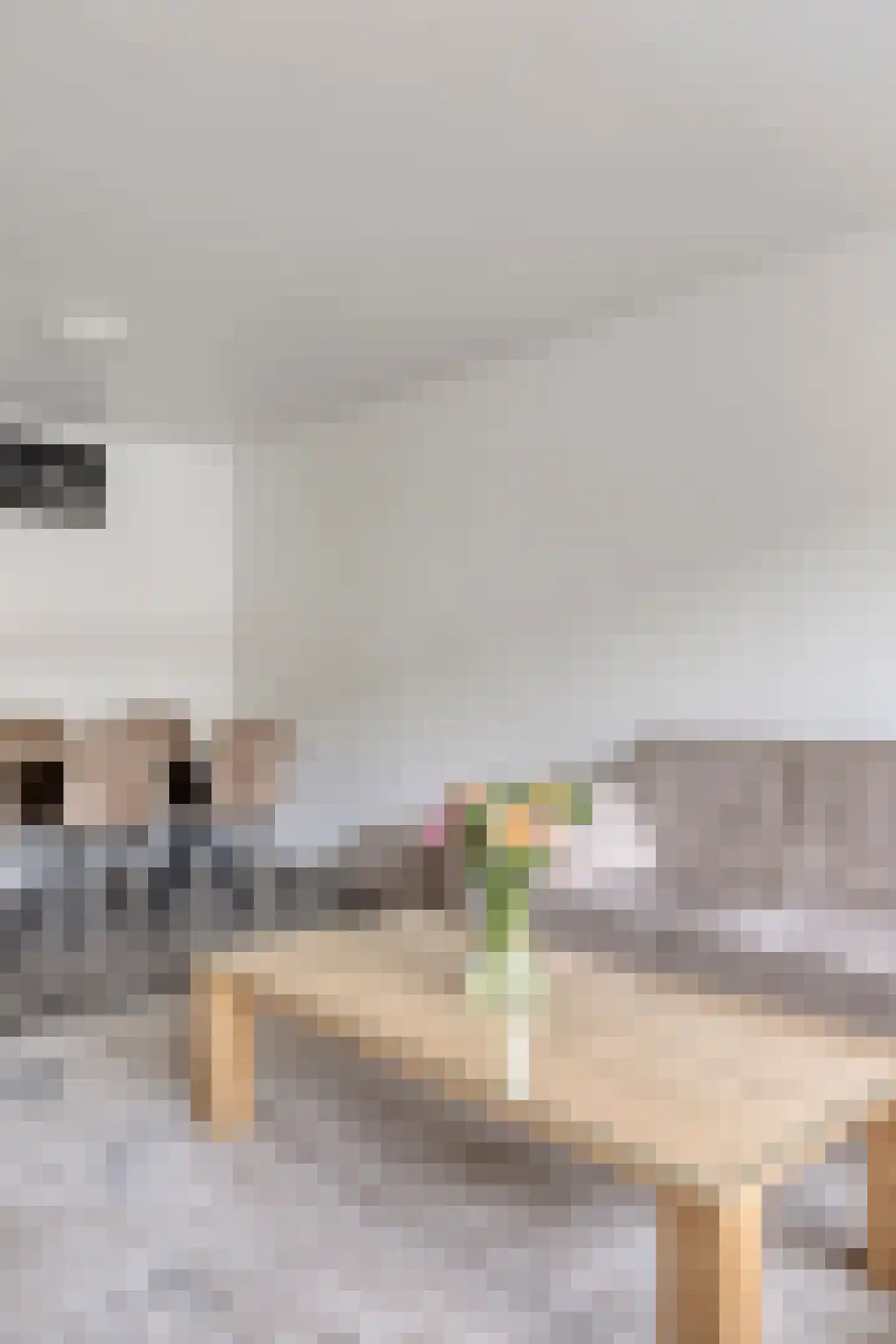 Vaillantlaan 552 Den Haag thumbnail 33