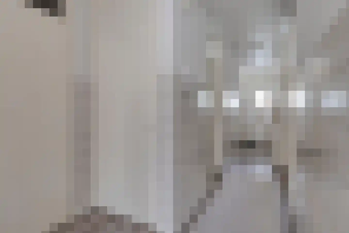 Vaillantlaan 552 Den Haag thumbnail 6