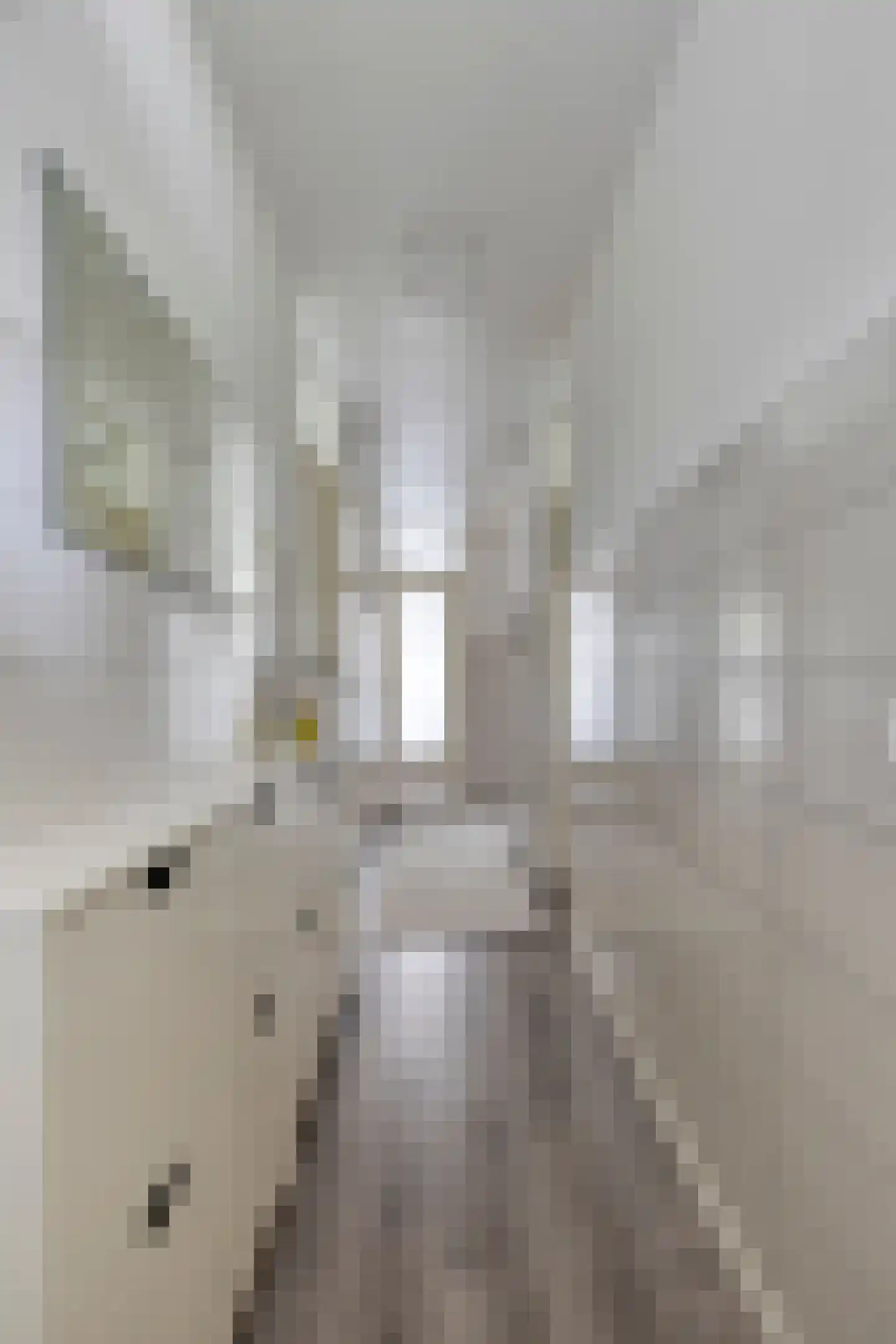 Vaillantlaan 552 Den Haag thumbnail 7