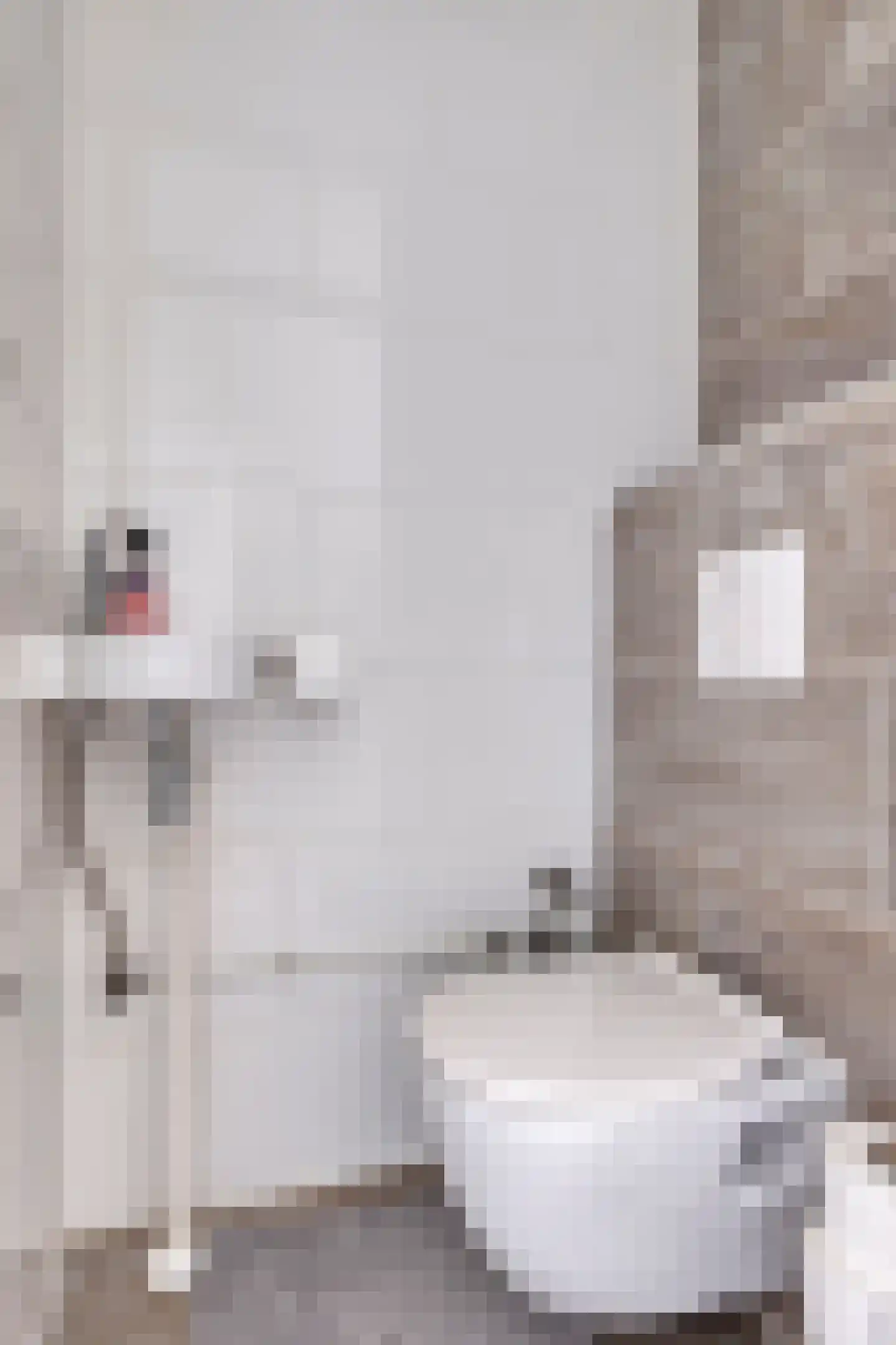 Vaillantlaan 552 Den Haag thumbnail 8