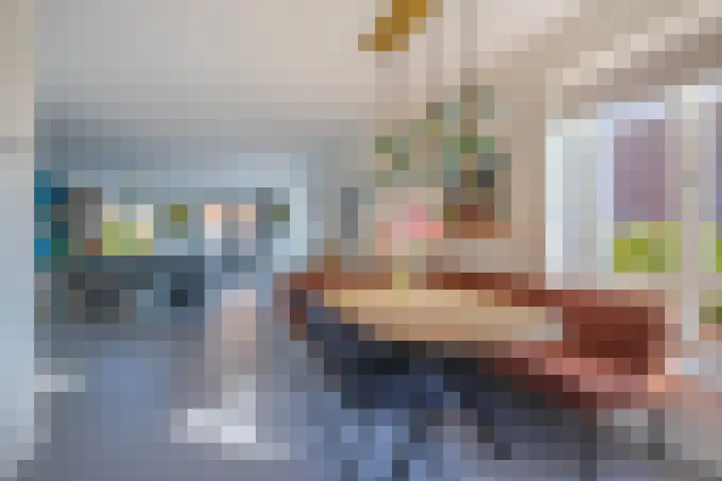 Vakwerkbrug 13 Arnhem thumbnail 17