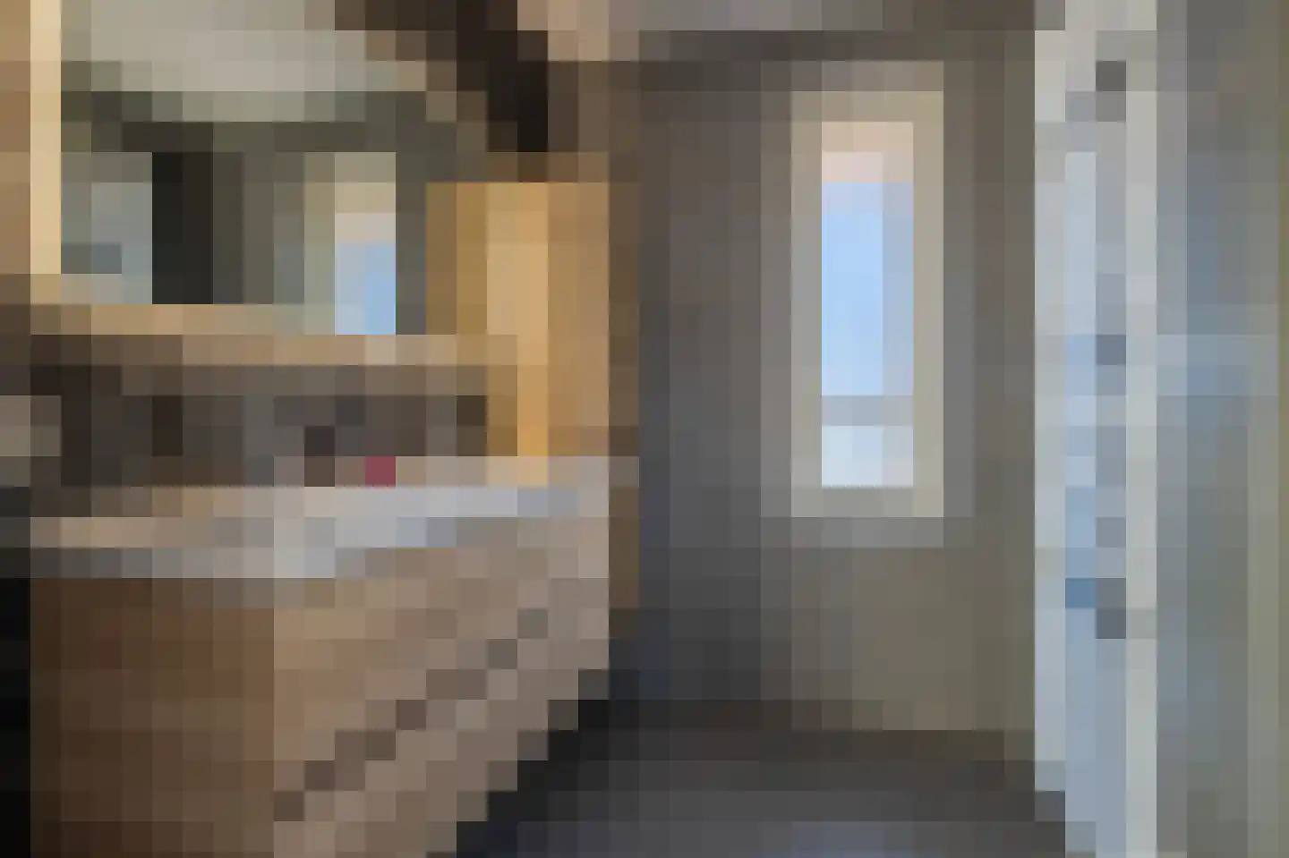 Vakwerkbrug 13 Arnhem thumbnail 4