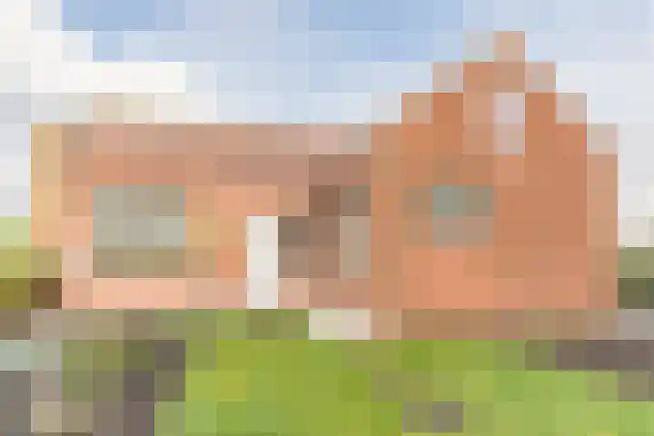 Val 25 Zaamslag