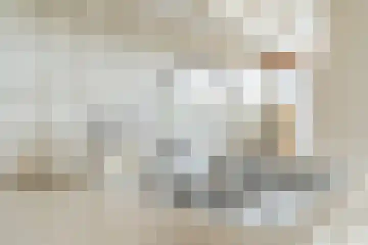 Val 25 Zaamslag thumbnail 11
