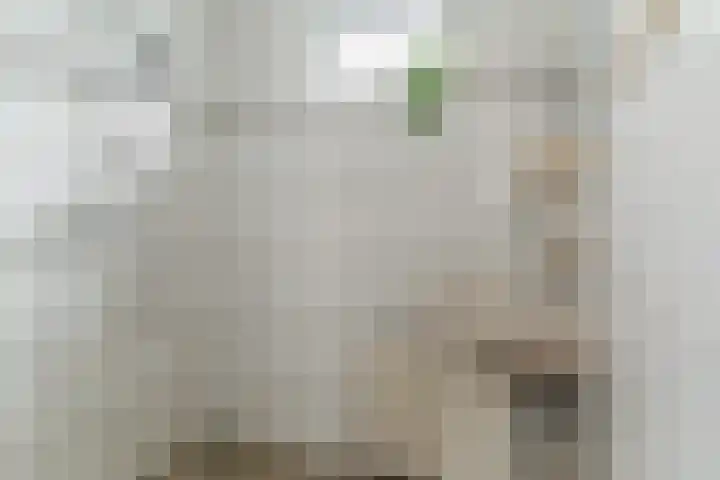 Val 25 Zaamslag thumbnail 14