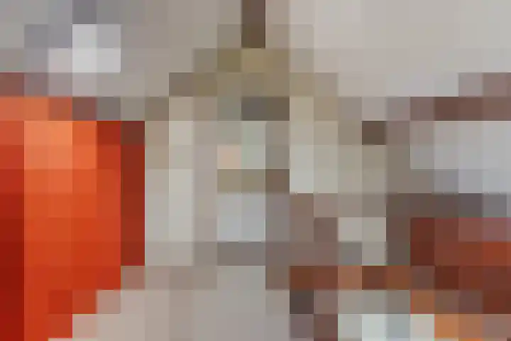 Val 25 Zaamslag thumbnail 17