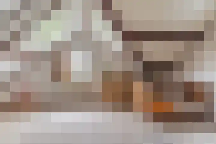 Val 25 Zaamslag thumbnail 20