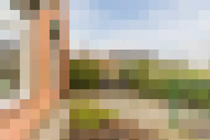 Val 25 Zaamslag thumbnail 25