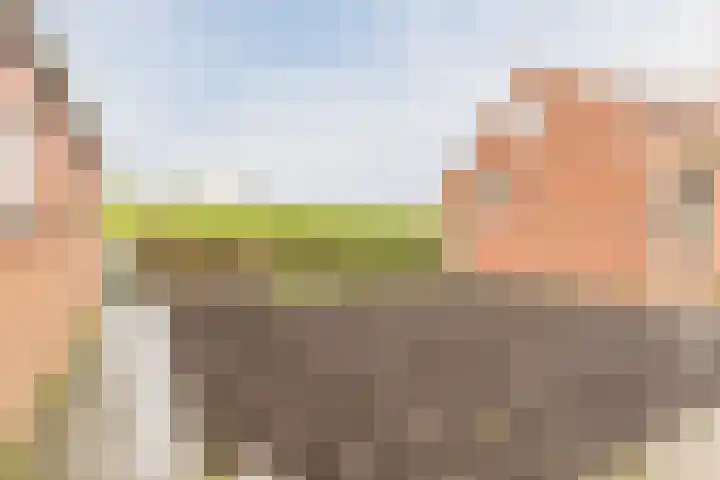 Val 25 Zaamslag thumbnail 27