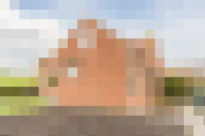 Val 25 Zaamslag thumbnail 28