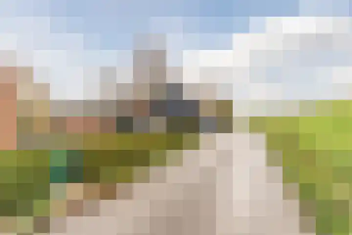 Val 25 Zaamslag thumbnail 29