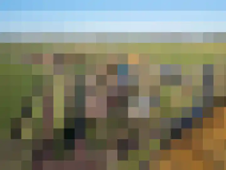 Val 25 Zaamslag thumbnail 32