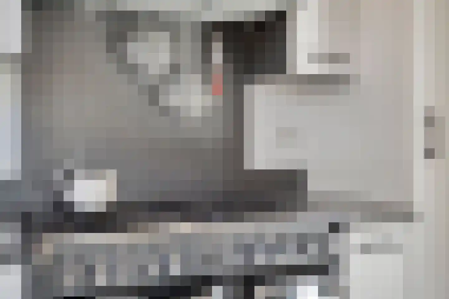 Val 3 Zaamslag thumbnail 14