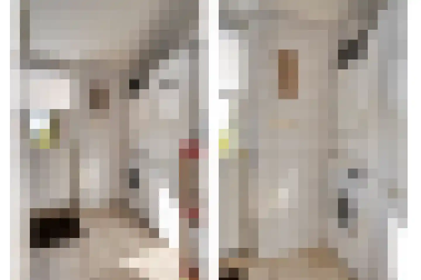 Val 3 Zaamslag thumbnail 17