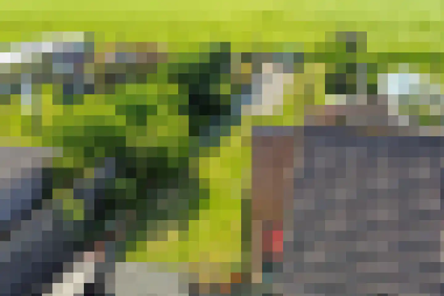 Val 3 Zaamslag thumbnail 20