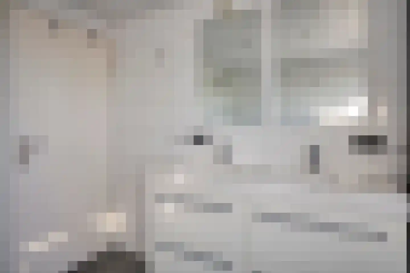Val 3 Zaamslag thumbnail 22