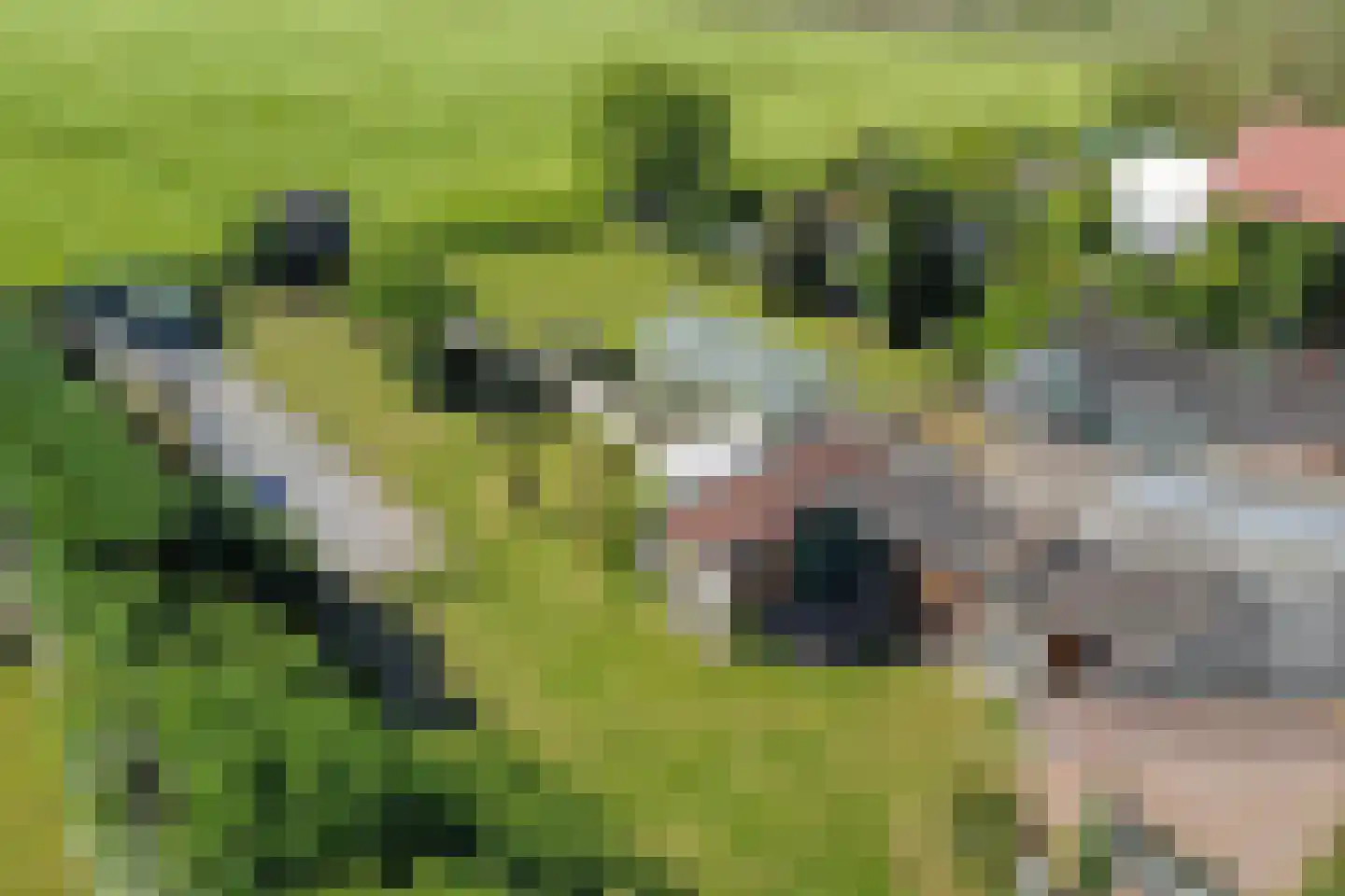 Val 3 Zaamslag thumbnail 31