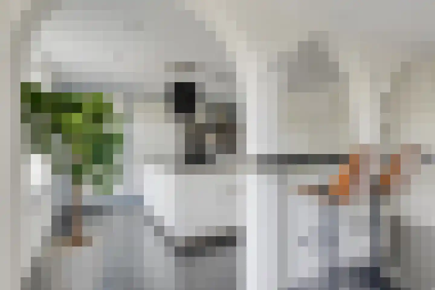 Val 9 Zaamslag thumbnail 12