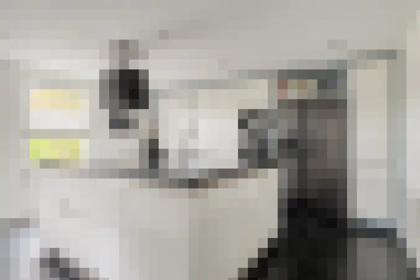 Val 9 Zaamslag thumbnail 14