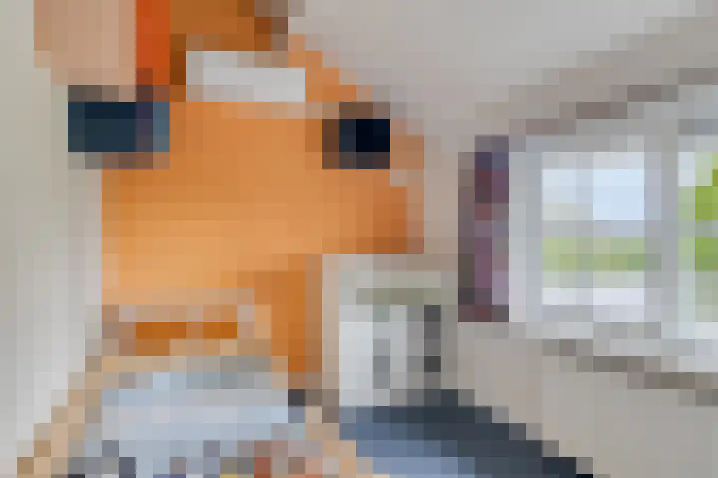 Val 9 Zaamslag thumbnail 29