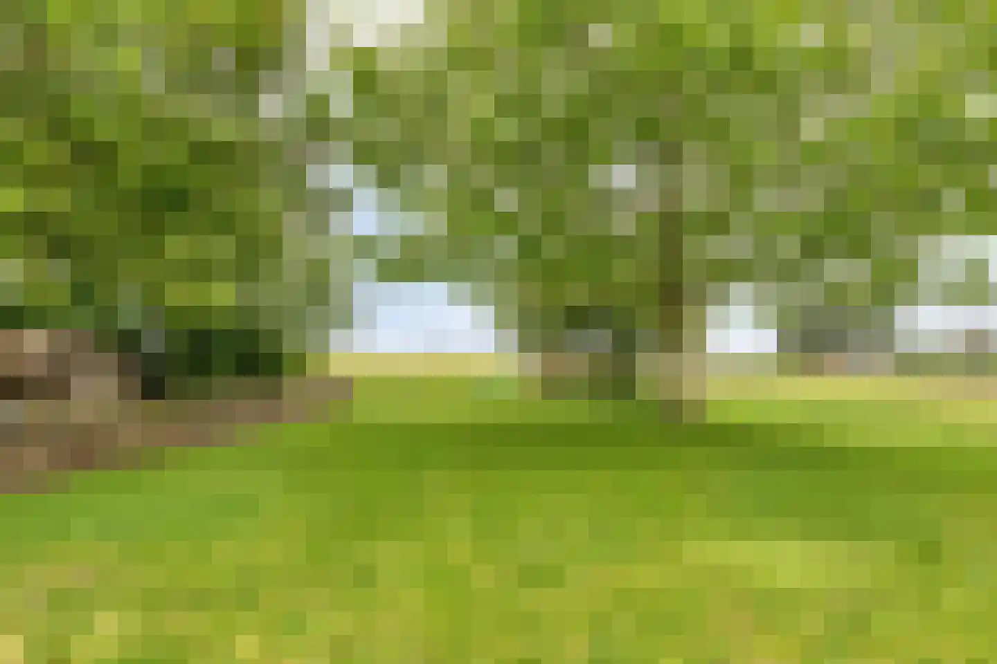 Val 9 Zaamslag thumbnail 33