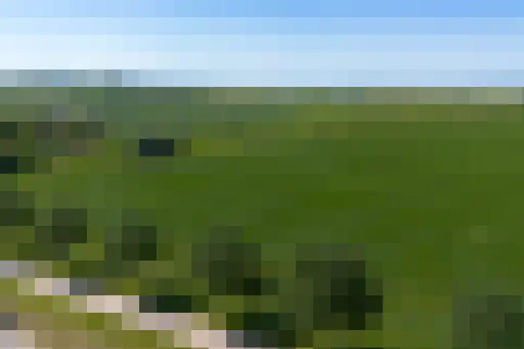Val 9 Zaamslag thumbnail 38