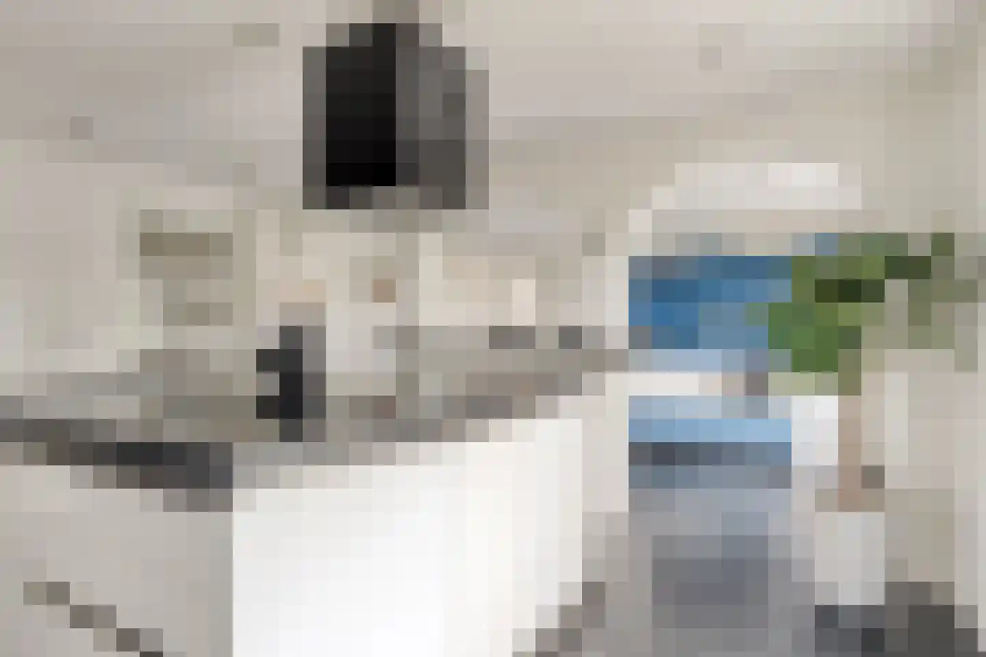 Val 9 Zaamslag thumbnail 5