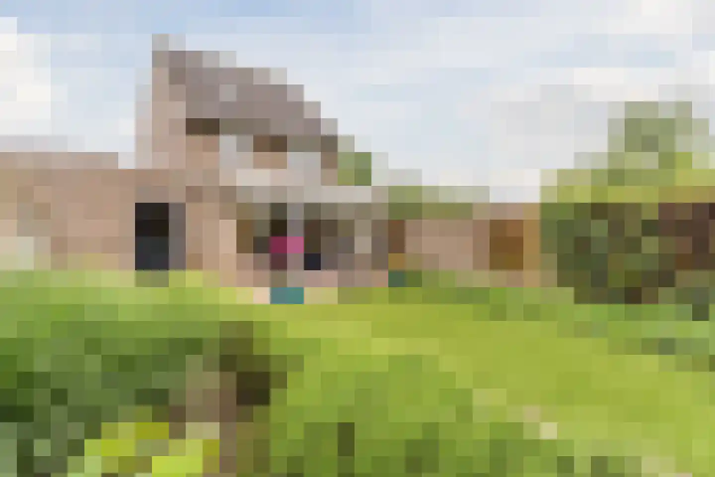 Valandil 1 Geldrop thumbnail 46