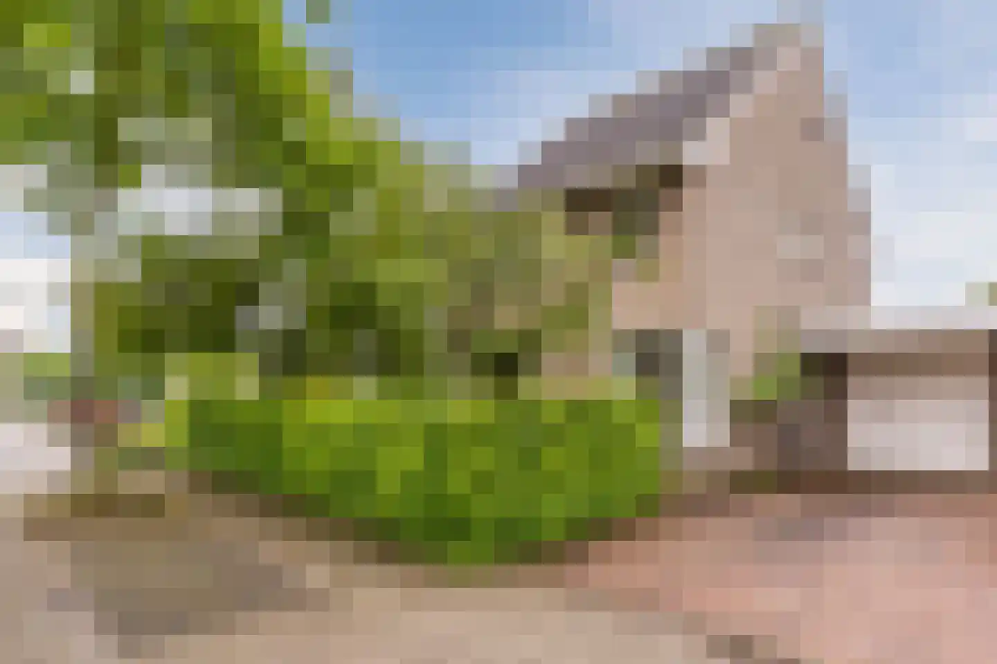 Valandil 1 Geldrop thumbnail 50