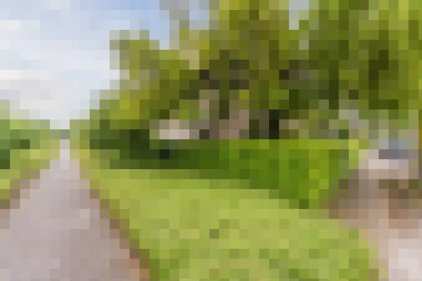 Valandil 1 Geldrop thumbnail 53