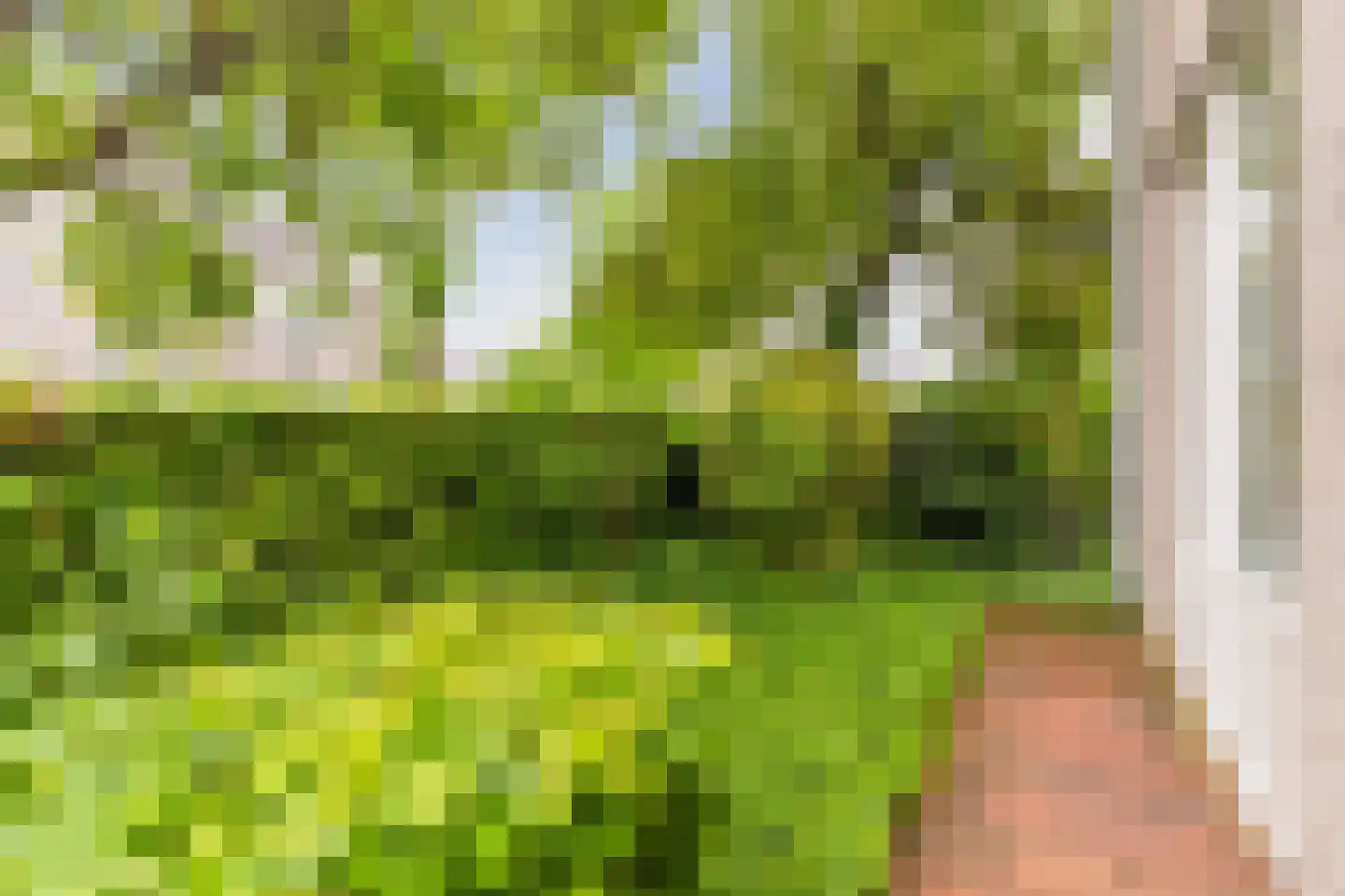 Valandil 1 Geldrop thumbnail 54