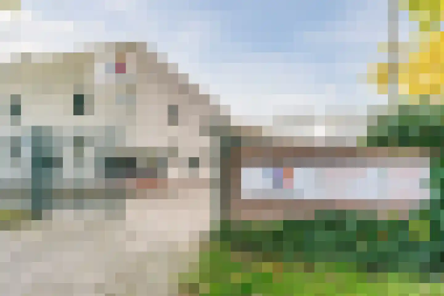 Valandil 1 Geldrop thumbnail 57