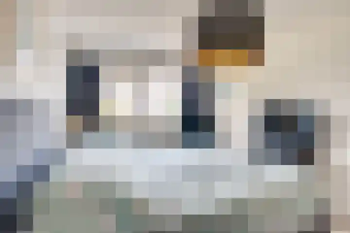Valandil 14 Geldrop thumbnail 22