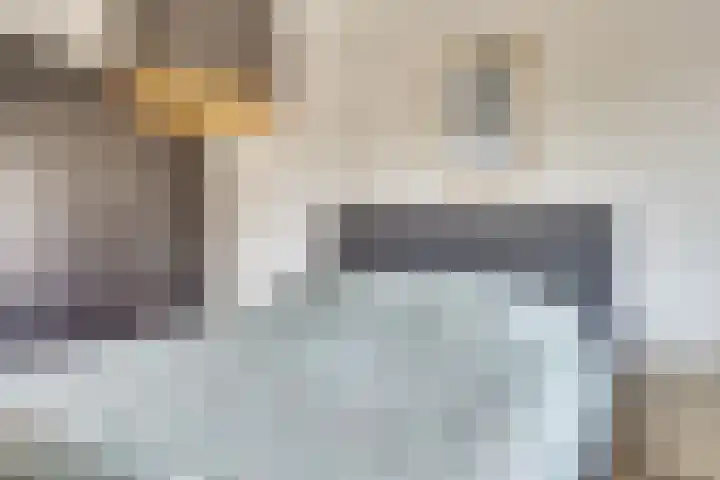 Valandil 14 Geldrop thumbnail 23