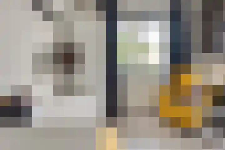 Valandil 14 Geldrop thumbnail 26