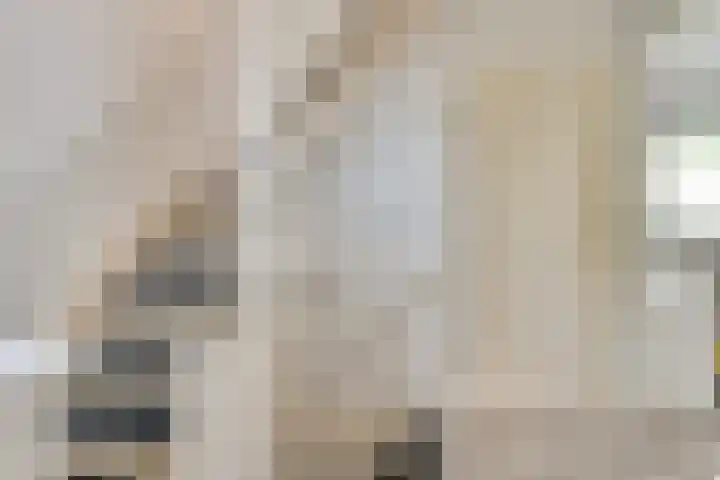 Valandil 14 Geldrop thumbnail 30