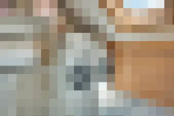 Valandil 14 Geldrop thumbnail 32