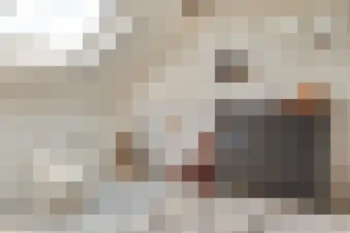 Valandil 14 Geldrop thumbnail 35