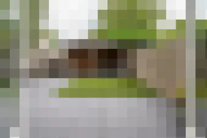 Valandil 14 Geldrop thumbnail 39