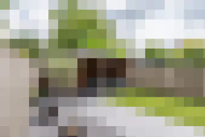 Valandil 14 Geldrop thumbnail 40