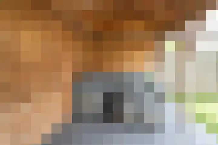 Valandil 14 Geldrop thumbnail 41