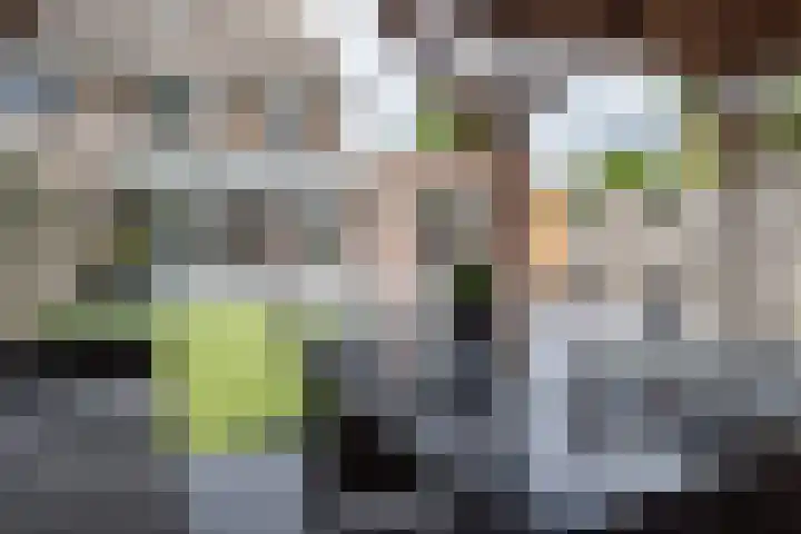 Valandil 14 Geldrop thumbnail 42