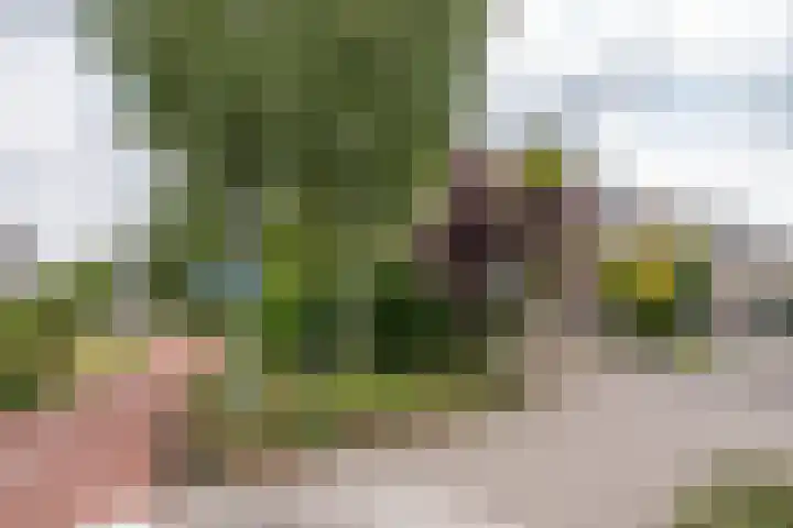 Valandil 14 Geldrop thumbnail 45