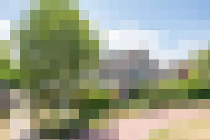 Valandil 14 Geldrop thumbnail 46