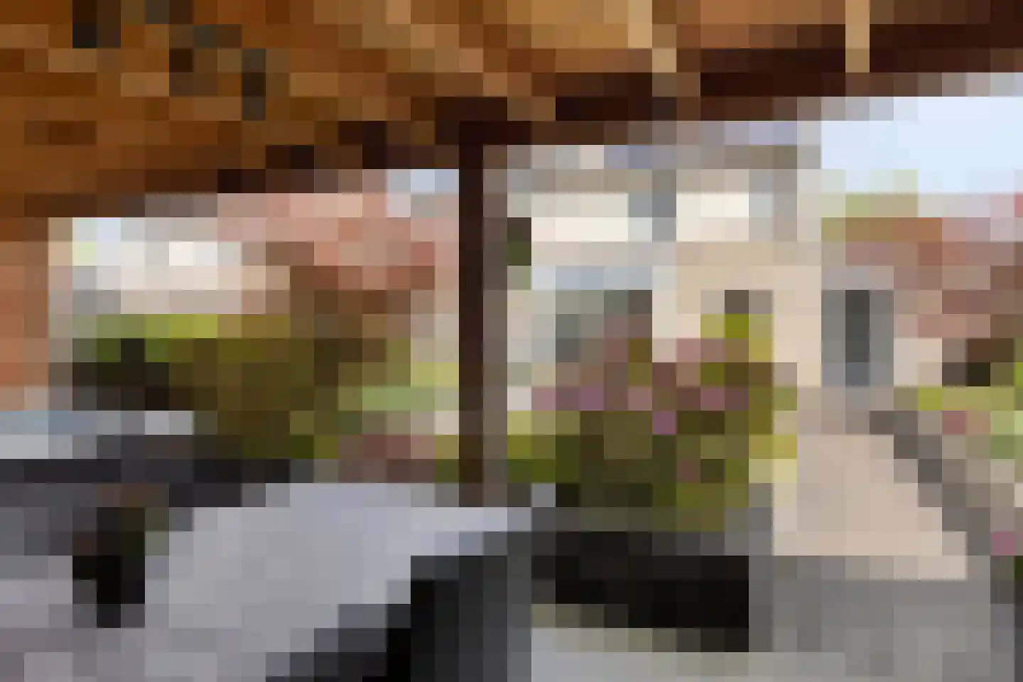 Valandil 19 Geldrop thumbnail 40