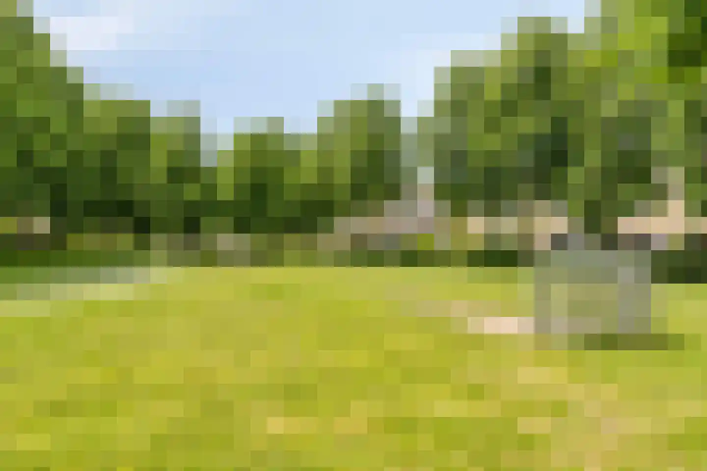 Valandil 19 Geldrop thumbnail 43