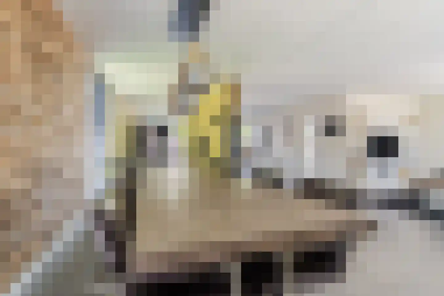 Valandil 32 Geldrop thumbnail 11