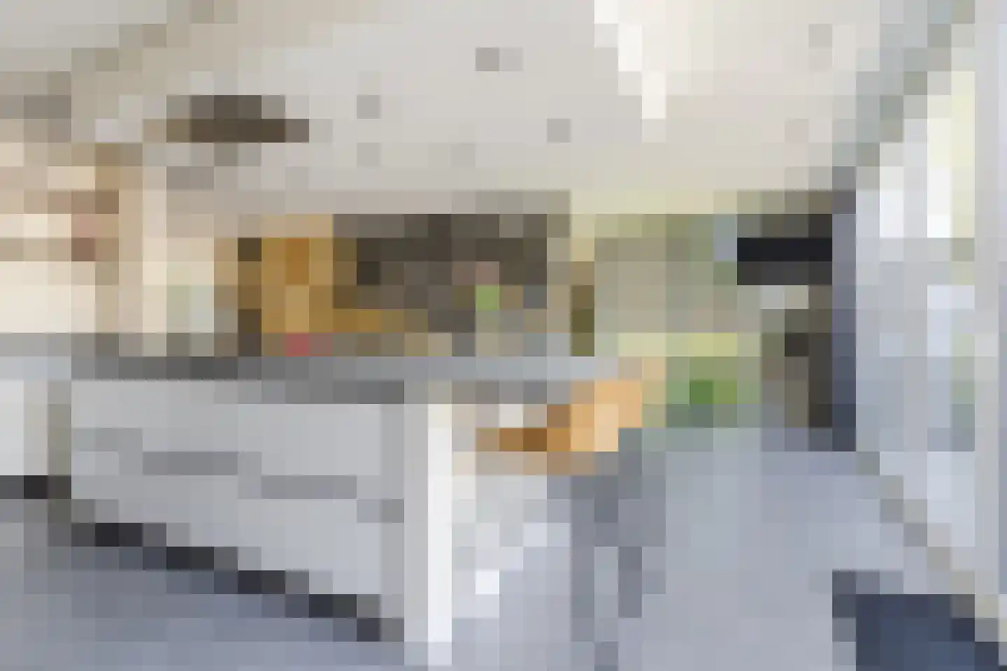 Valandil 32 Geldrop thumbnail 17