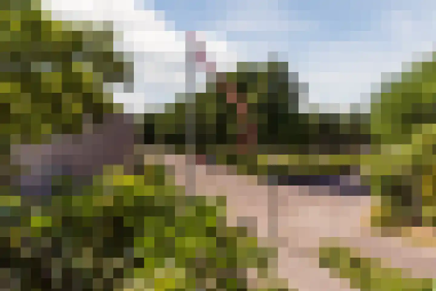 Valandil 32 Geldrop thumbnail 28